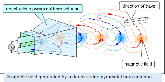  ,Magnetic field generated by a double-ridge pyramidal horn antenna