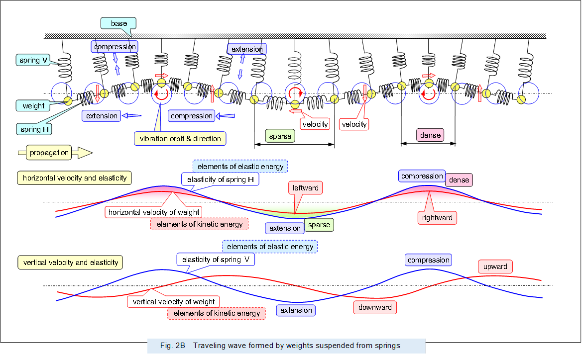  ,Fig. 2B�@Traveling wave formed by weights suspended from springs

