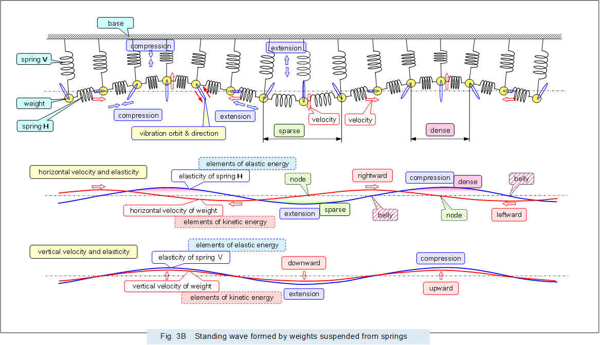 ,Fig. 3B�@Standing wave formed by weights suspended from springs


