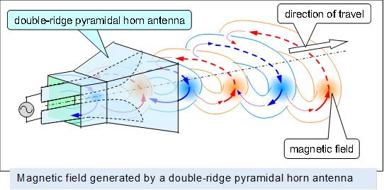  ,Magnetic field generated by a double-ridge pyramidal horn antenna