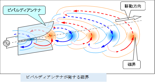  ,�r�o���f�B�A���e�i�������鎥�E