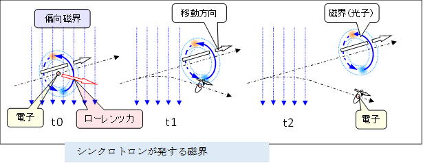  ,�V���N���g�����������鎥�E