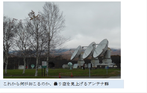  ,���ꂩ�牽��������̂��A�܂������グ��A���e�i�Q